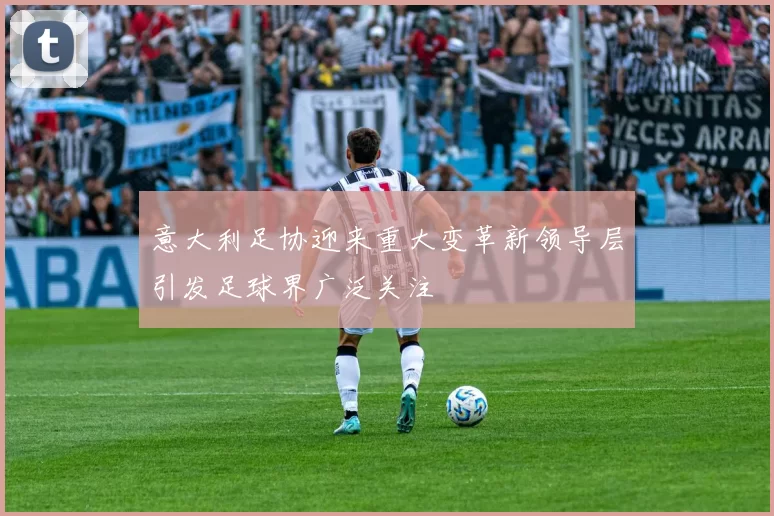 意大利足协迎来重大变革新领导层引发足球界广泛关注