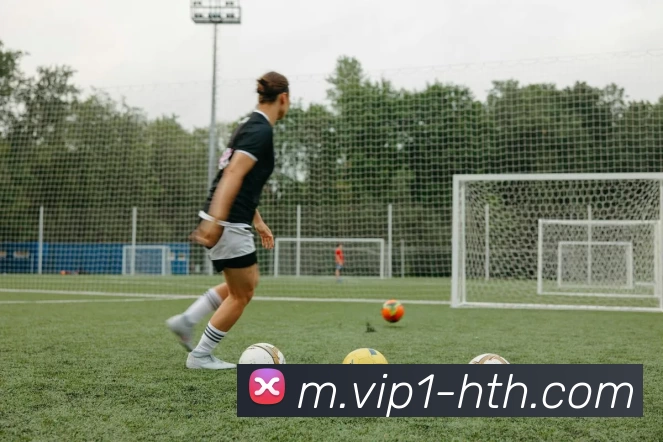 华体会平台生态图